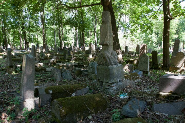 LT-Kaunas-juedischer-Friedhof-IMG_1969